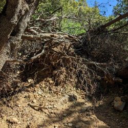 Dutch Creek Trail - Trail not maintained