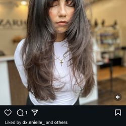 Zarios Hair Salon - This is the picture I showed her for reference off their own Instagram page.
