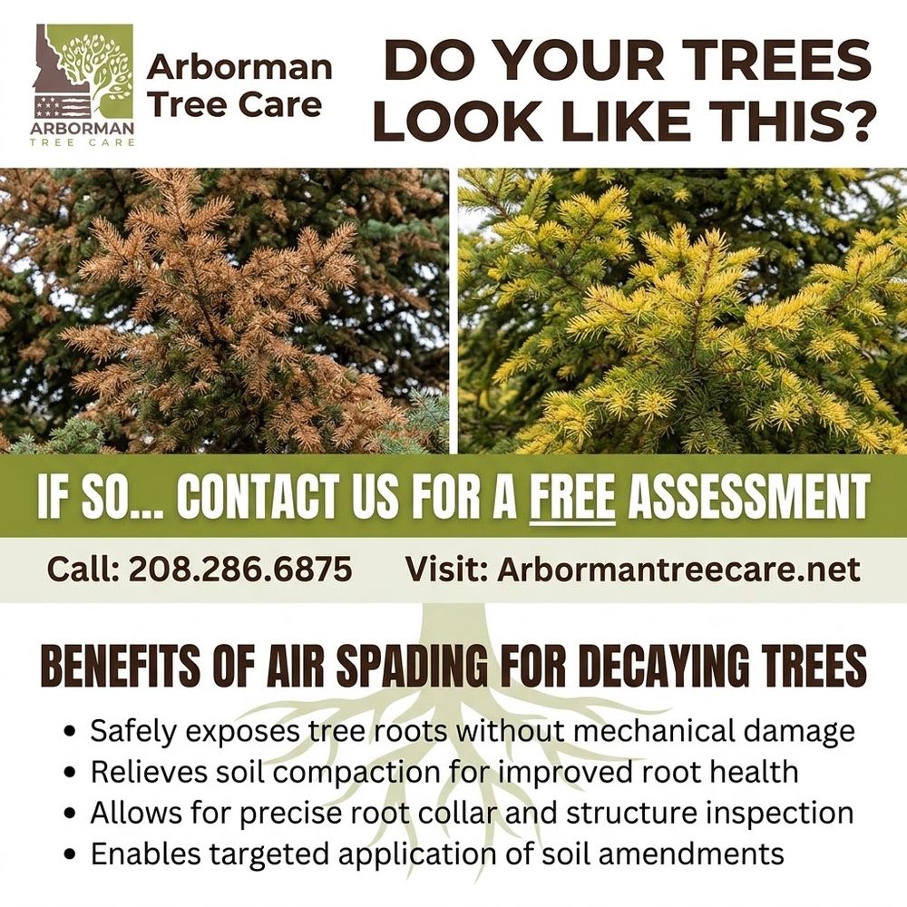 Arborman Tree Care - tree service in Boise, ID