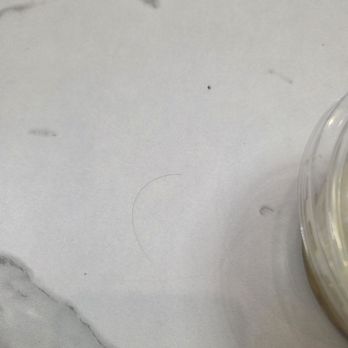 Bora Bora Smoothie Cafe - These hairs were all over the tables - Coffee & Tea Near Me - Rancho Cucamonga, California