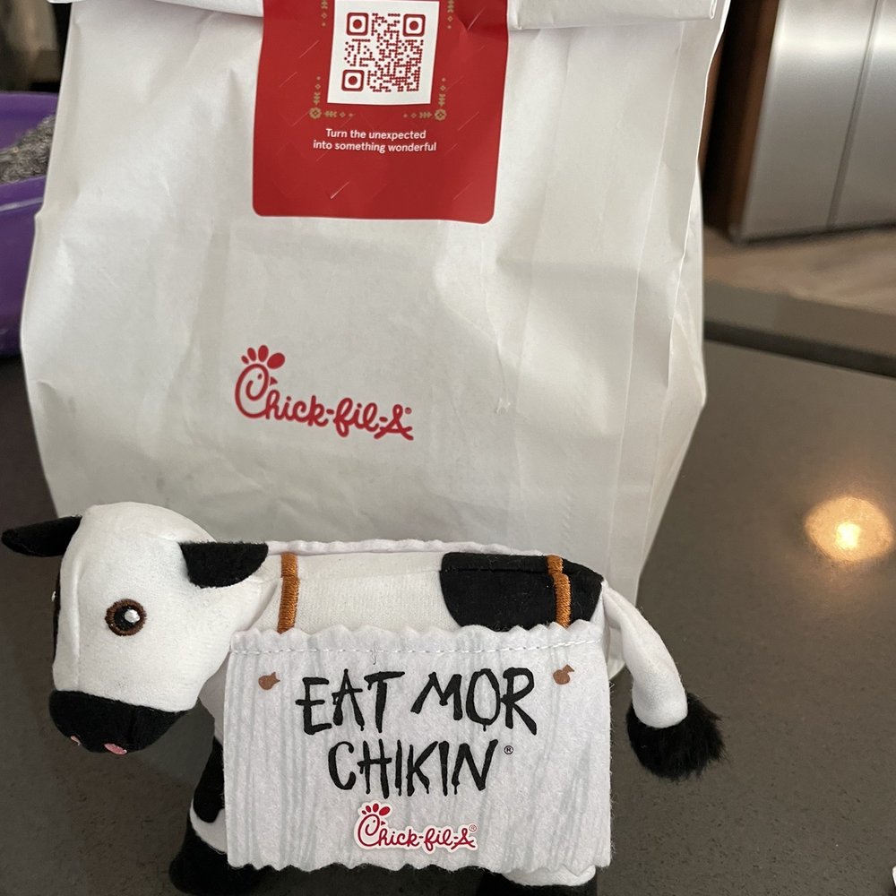 ows a cow with a sign attached to it