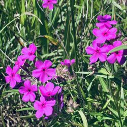 Blue Mounds State Park