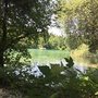Photo of Waldbad Anif Buffet