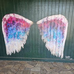 Angel Wings of Haleiwa - 1-19-24
