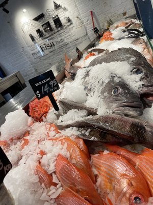 Auckland Fish Market by null