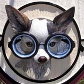 Cottage Veterinary Care - Veterinarians Near Me - Pacific Grove, California
