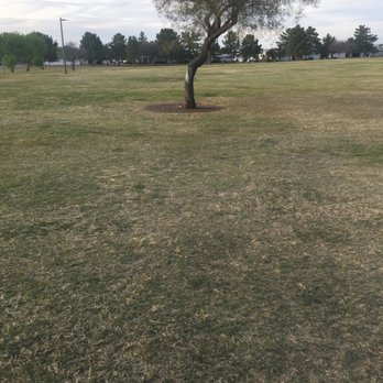 Moon Valley Park - Parks Near Me - Phoenix, Arizona