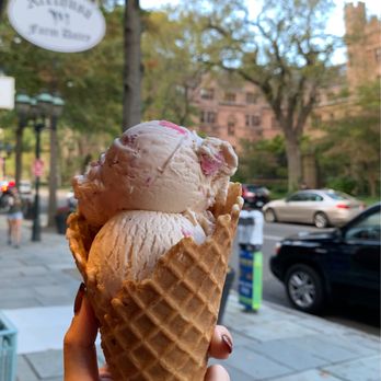 Arethusa Farm - 1 Scoop of Strawberry Waffle Cone - Ice Cream & Frozen Yogurt Near Me - New Haven, Connecticut Arethusa Farm - 1 Scoop of Strawberry Waffle Cone - Ice Cream & Frozen Yogurt Near Me - New Haven, Connecticut