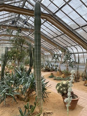 Birmingham Botanical Gardens by null