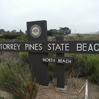 North Torrey Pines State Beach - Nice, beautiful and quiet morning at the beach. - Beaches Near Me North Torrey Pines State Beach - Nice, beautiful and quiet morning at the beach. - Beaches Near Me