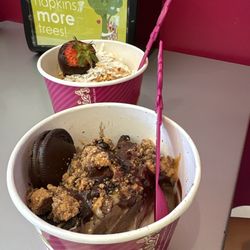 Menchie's Frozen Yogurt