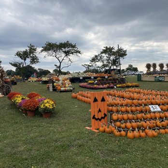 Mink and Walters Pumpkin Patch - Pumpkin Patches Near Me - Elizabethtown, Kentucky Mink and Walters Pumpkin Patch - Pumpkin Patches Near Me - Elizabethtown, Kentucky
