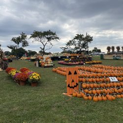 Mink and Walters Pumpkin Patch