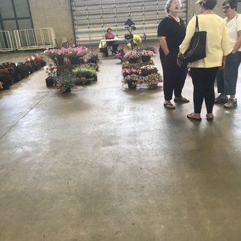 Tulsa Flea Market - Flowers for sale at flea market may 2018 - Flea Markets Near Me - Tulsa, Oklahoma Tulsa Flea Market - Flowers for sale at flea market may 2018 - Flea Markets Near Me - Tulsa, Oklahoma