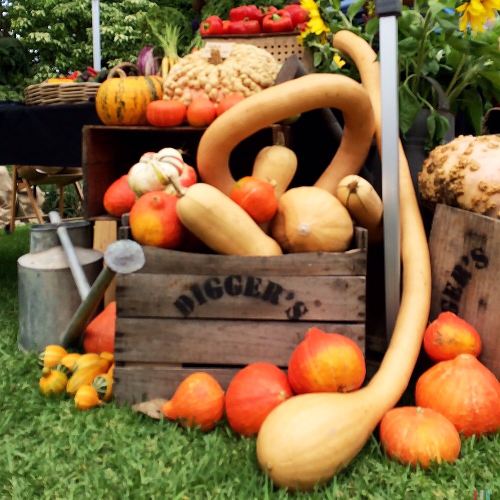 Adelaide Botanic Garden - Heirloom fruit and vegetables - Botanical Gardens Near Me - Adelaide, SA