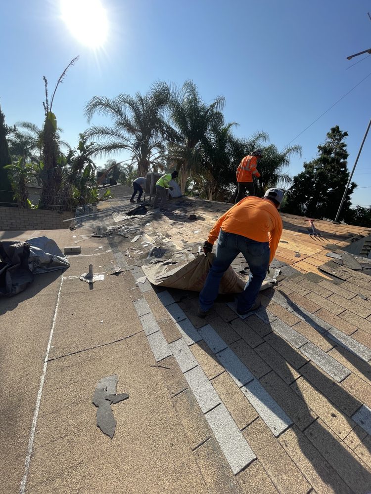 Slide of Lifetime Construction & Development