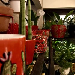 Erva Doce Jardins