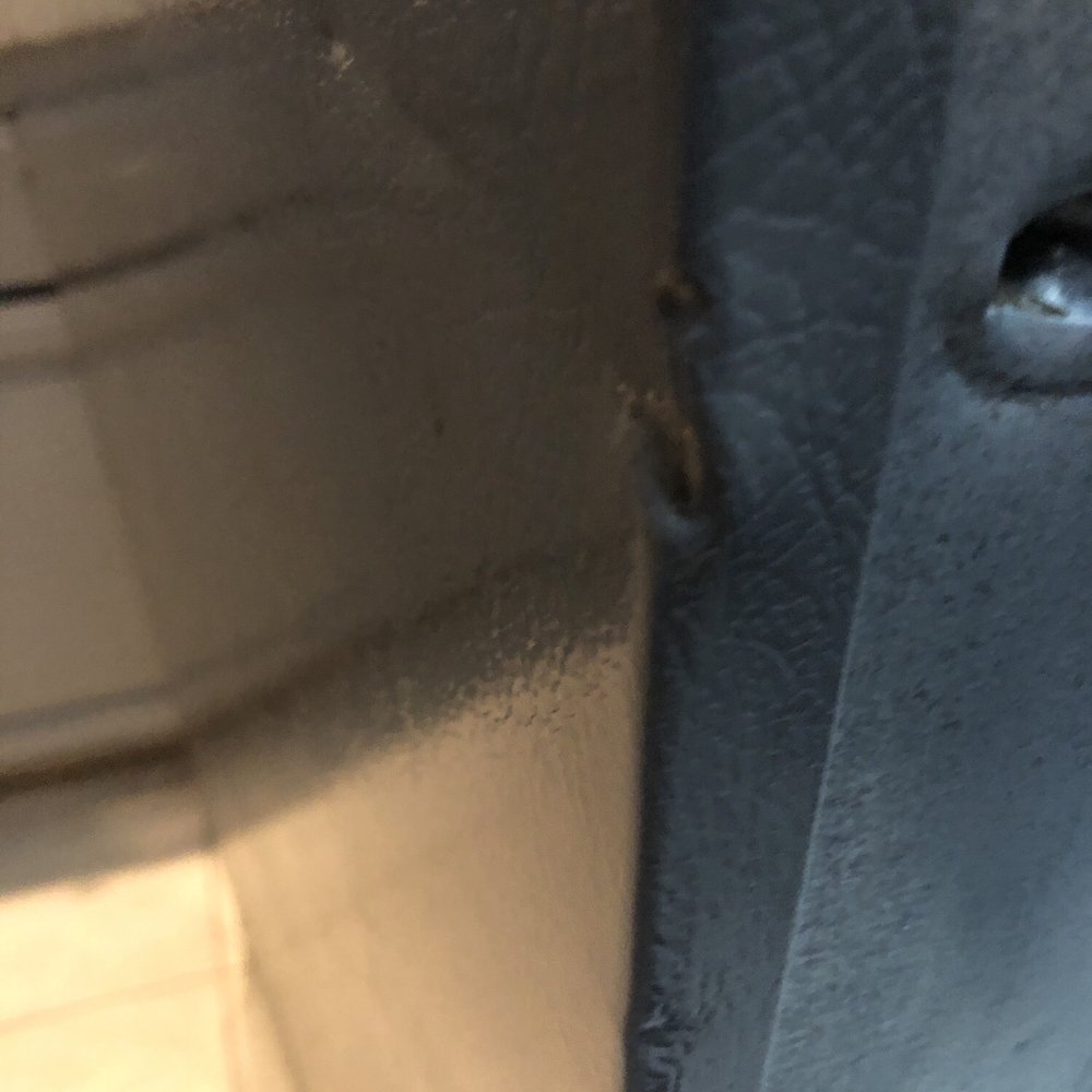 Mike's Moving - Gouged / dented edge on refrigerator Improper loading equipment - Movers Near Me Mike's Moving - Gouged / dented edge on refrigerator Improper loading equipment - Movers Near Me