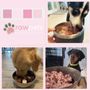 Photo of Raw Pets