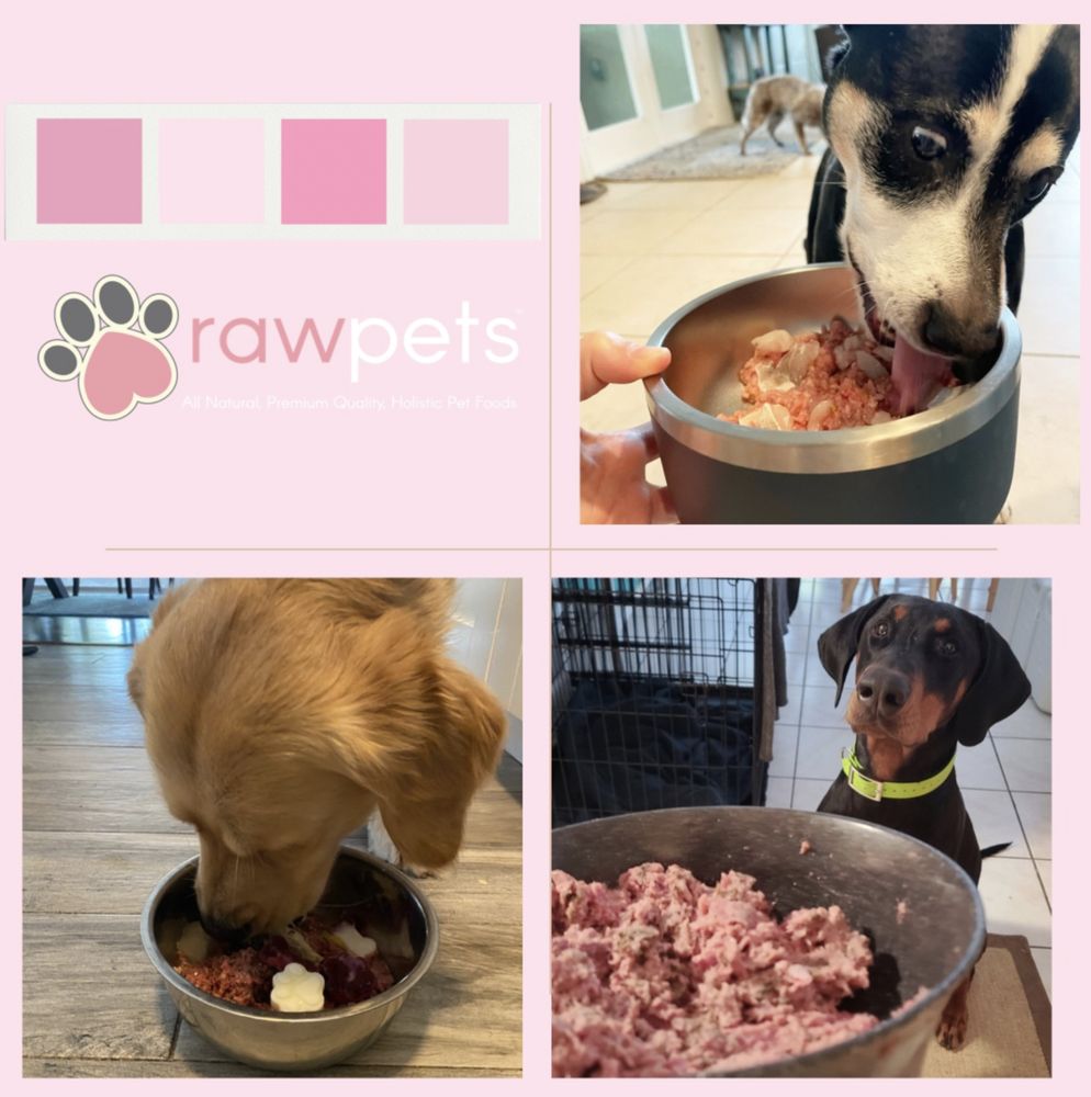 RAW PETS Updated August 2024 Request Information 8219 Ulmerton Rd