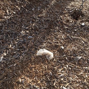 McAuliffe Community Park - Stay classy, San Diego! - Playgrounds Near Me - San Diego, California McAuliffe Community Park - Stay classy, San Diego! - Playgrounds Near Me - San Diego, California