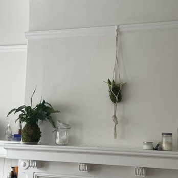 Workshop - Kokedama - Art Classes Near Me - San Francisco, California Workshop - Kokedama - Art Classes Near Me - San Francisco, California