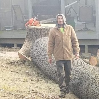 Tames Trees Services - Tree Services Near Me Tames Trees Services - Tree Services Near Me
