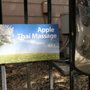 Photo of Apple Thai Massage