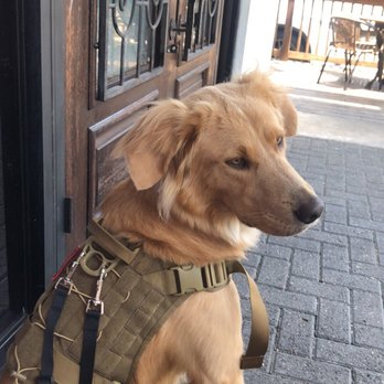 On The Kirb - Pet friendly - Sports Bars Near Me - Houston, Texas On The Kirb - Pet friendly - Sports Bars Near Me - Houston, Texas