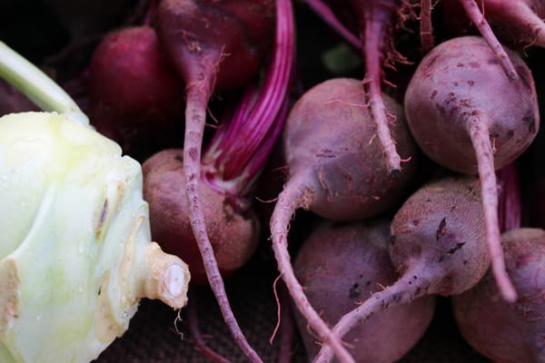 Lafayette Farmers and Artisan Market at the Horse Farm by null