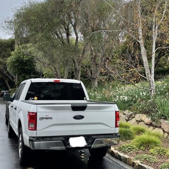 Nick's Tree Service - Free estimates! - Tree Services Near Me