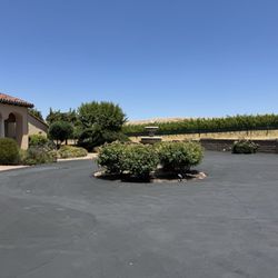 Caddis Wines