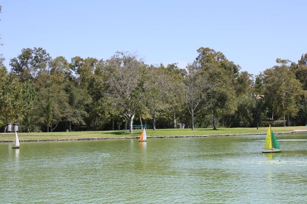 William R Mason Regional Park by null