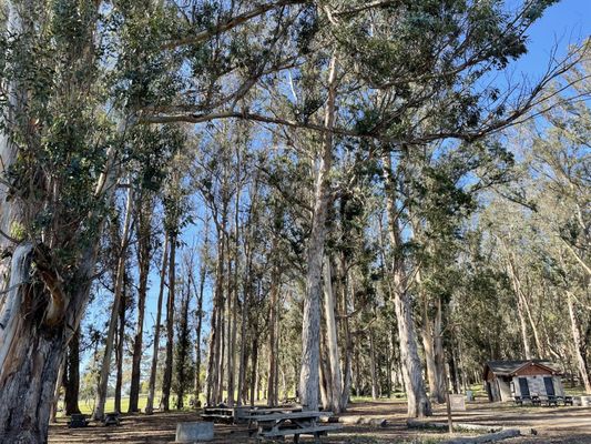 Morro Bay State Park by null