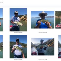 Bass Angler Magazine - Bass Fishing in June 2019
