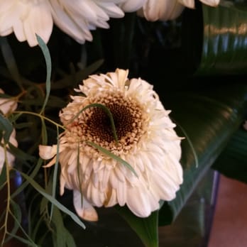 Buds Florist - DO NOT USE BUDS FLORALS.  THE FLOWERS WERE WILTED. WE CALLED AND THE OWNER JUST SCREAMED AT ME AND MY HUSBAND AND HUNG UP THE PHONE TWICE - Florists Near Me - Staten Island, New York