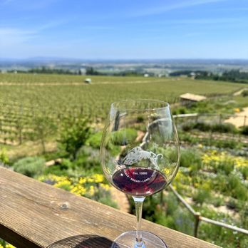 Brooks Wine - Wine Tasting with a View - Wineries Near Me - Amity, Oregon
