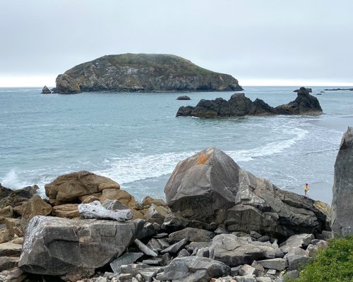 Harris Beach by null