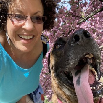 Chicago Canine Company - Pet Training Near Me - Chicago, Illinois