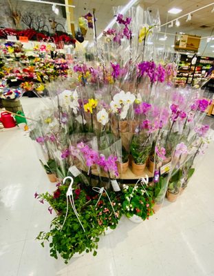 ShopRite of New Hyde Park by null