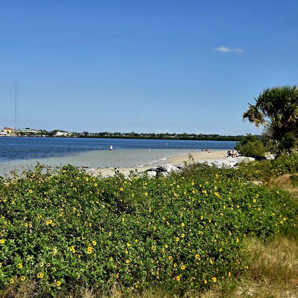 Fred Howard Park - Fred Howard Beach - Parks Near Me - Tarpon Springs, Florida Fred Howard Park - Fred Howard Beach - Parks Near Me - Tarpon Springs, Florida