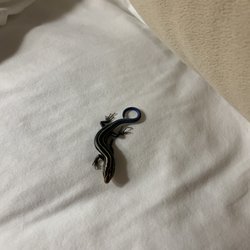 Sand Spring Resort - Salamander