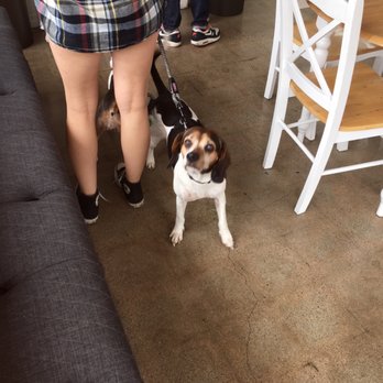 Green Table Cafe - Apparently it's super dog-friendly here too! - Cafes Near Me - Los Angeles, California