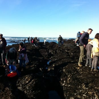 Moss Beach - Keep on exploring - Beaches Near Me - Moss Beach, California