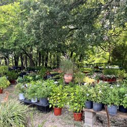 Nrh Farmer's Market