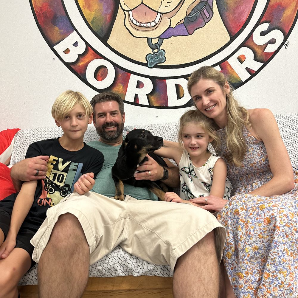 Pups Without Borders - Pet Adoption Near Me Pups Without Borders - Pet Adoption Near Me
