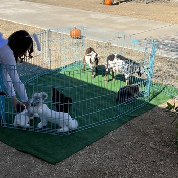 Rah-Rah Ranch - Petting Zoos Near Me Rah-Rah Ranch - Petting Zoos Near Me
