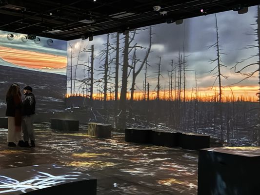 OASIS immersion by null