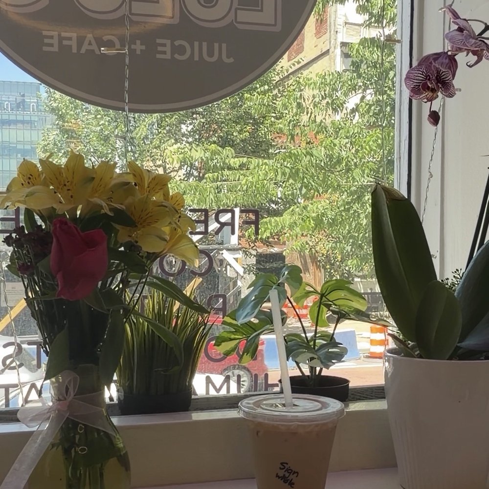 Lulu's Juice Cafe - Lulu's Lavish Latte - Juice Bars & Smoothies Near Me - Washington, DC, District of Columbia Lulu's Juice Cafe - Lulu's Lavish Latte - Juice Bars & Smoothies Near Me - Washington, DC, District of Columbia