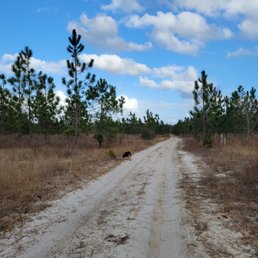 Here are some of the trails near Black Fork Recreation area. Here are some of the trails near Black Fork Recreation area.